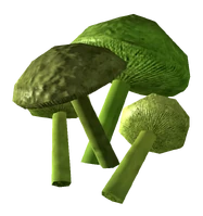 Mutant cave fungus
