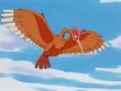EP204 Fearow