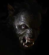 The Alpha