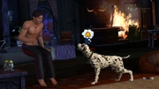 Simspets3