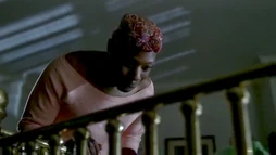 Lafayette pocessed by Mavis