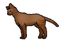 20120402072950!Sasha.rogue.png