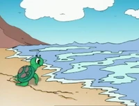 MAR