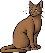 Whiskernose.warrior.png