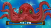 Bottom Octopus