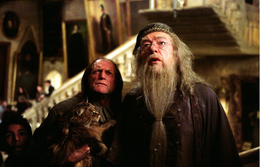 Albus-filch.jpg