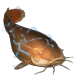 Item electriccatfish 01