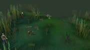 Campsite old