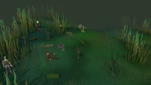 Campsite old