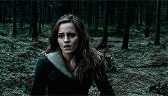 Deathly Hallows - Stinging Hex