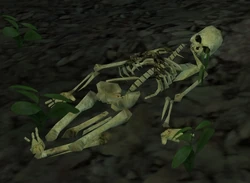 Jonna skeleton.jpg