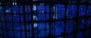 Spiderchamber