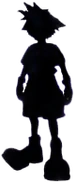 ShadowSora