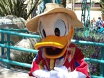 Donald-duck-disney-s