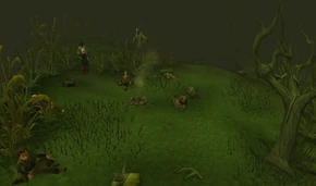 TempTrek Campsite