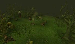 TempTrek Campsite