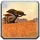 Icon Barrens 01