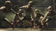 Crawlers