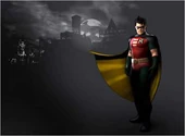 ArkhamCity Animated-Robin