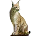 Item lodjur 01