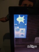 Simspets12