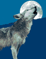 Aganimals6.gif