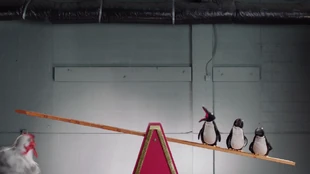 OKGo-Muppets (8)