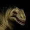 Moschops Head.jpg
