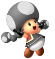 SpikyToadetteSME.png