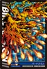 Birdramon 1-061 (DJ)