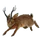 Item easterjackalope 01