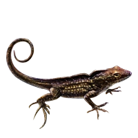 Huge item brownanole 01.png