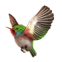 Huge item cubantody 01.png