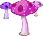 Magic Mushroom