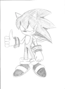 Cesar the hedgehog 2
