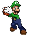 Luigi Mario Basketball Mushroom Tourney