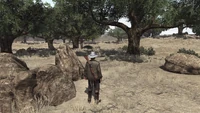 Wilderness-plains