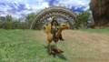 CB LayleChocobo.jpg