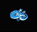 Shenron(DF)