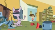Gallery-Coop-7 (14)
