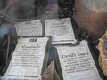 Seeds.jpg