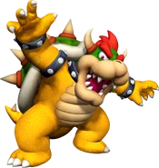 Bowser64DS