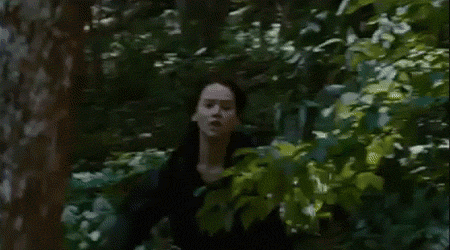 http://images1.wikia.nocookie.net/__cb20110828172354/thehungergames/images/f/f6/Tumblr_lqkup6nPOp1qisk0mo11_r1_500.gif