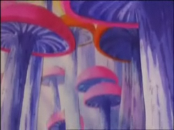 MushroomForest1