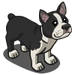 Boston Terrier-icon