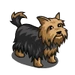 Yorkie-icon