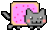 Th nyan-cat6