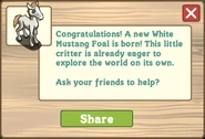 White mustang foal message
