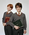 PromoHP1 Harry Potter et Ron Weasley.jpg