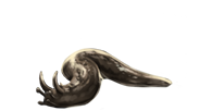 HornedSlug